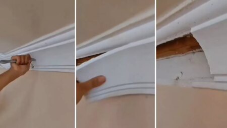 Bir müddettir garip şeyler oluyordu! Meskendeki kartonpiyeri söktüler, altından çıkanlara inanamadılar