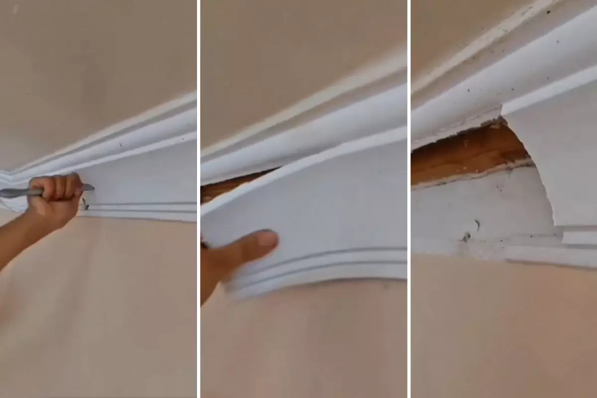 Bir müddettir garip şeyler oluyordu! Meskendeki kartonpiyeri söktüler, altından çıkanlara inanamadılar
