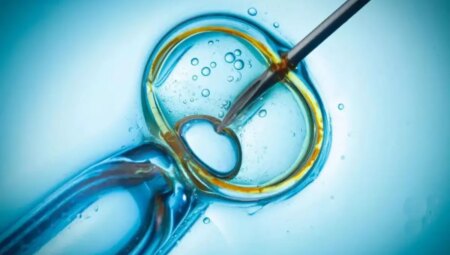 Tüp bebek kliniğinde skandal kusur: Bayan ezkaza öteki çiftin bebeğini doğurdu
