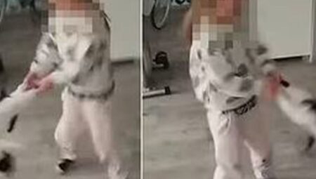 Küçük kız kediye azap yaptı, annesi gülerek kayda aldı
