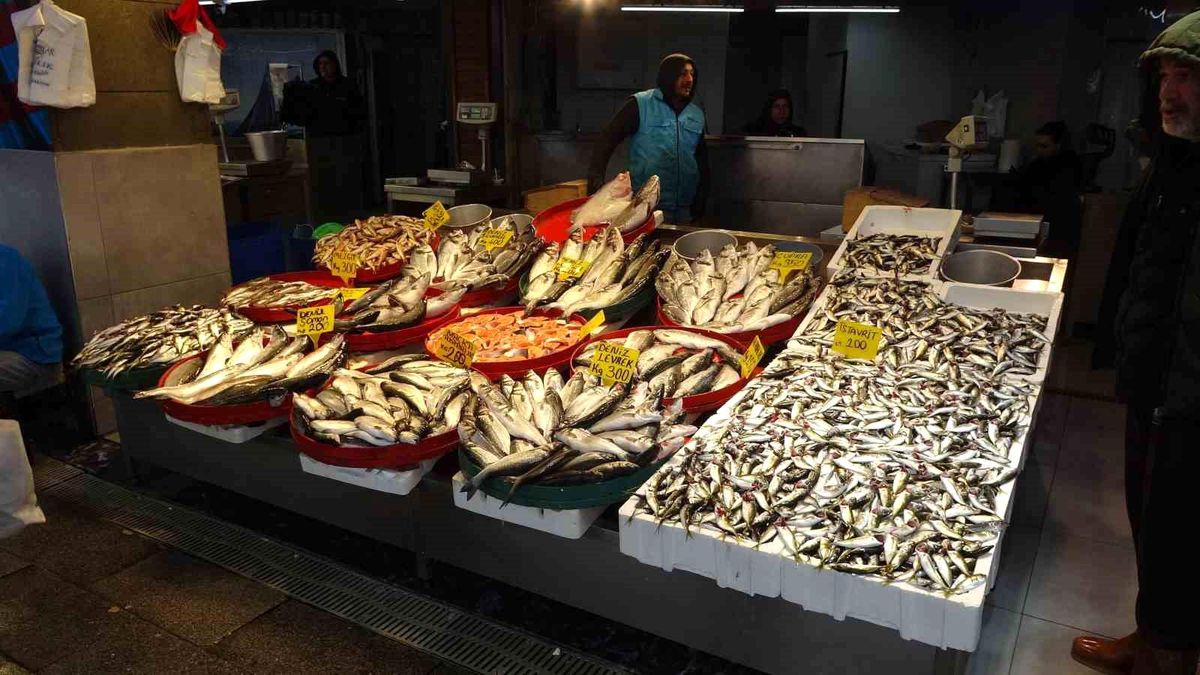 Türkiye’de Balık Avı Dönemi Sona Erdi