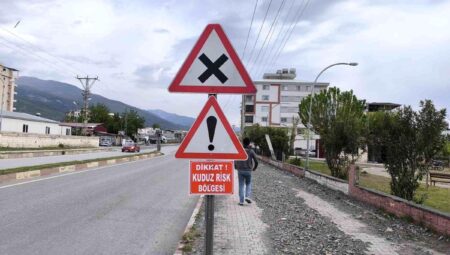 Hatay’da Kuduz Vakası: Özerli Mahallesi ‘Kuduz Risk Bölgesi’ İlan Edildi