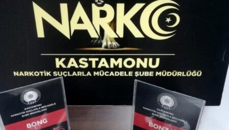Kastamonu’da Bonzai İle Yakalanan Şahıs Gözaltına Alındı