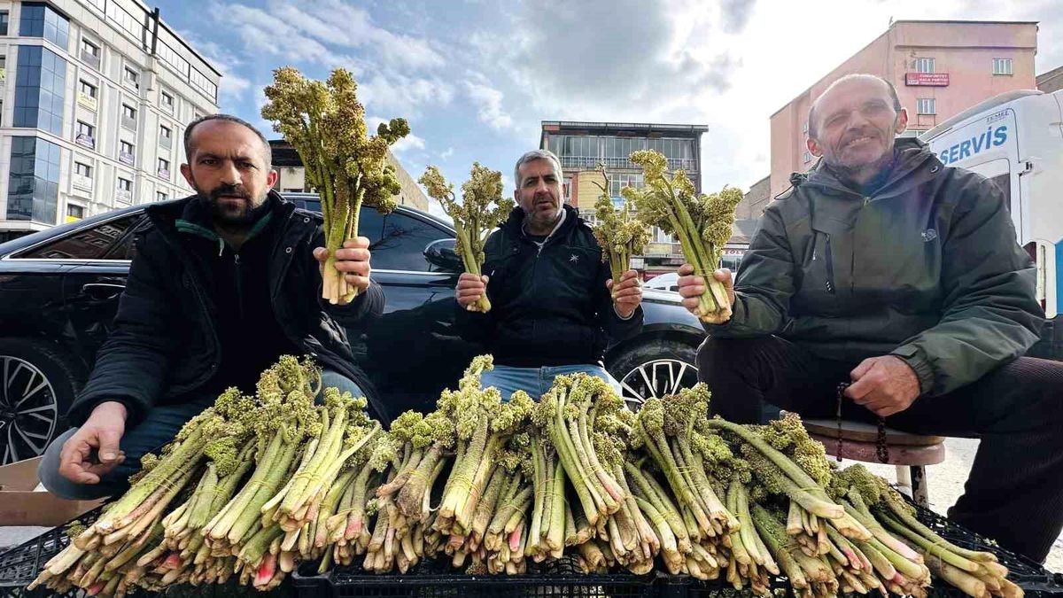 Yüksekova’da Yayla Muzu Satışı Başladı